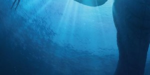 《阿凡达2：水之道》电影(完整观看版)在线(手机版)已更免费